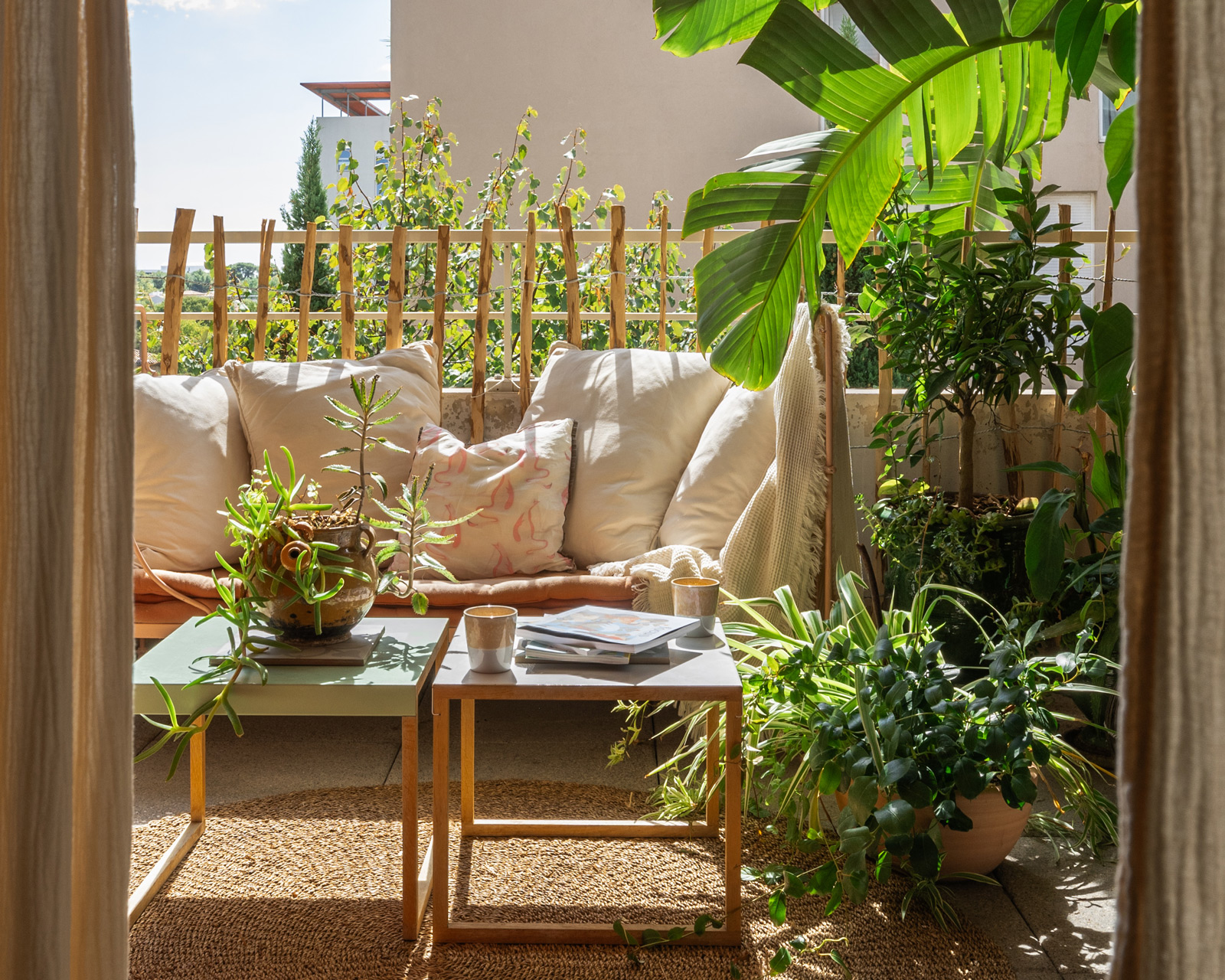 Plantes et bien-être : l’art de vivre avec la nature
